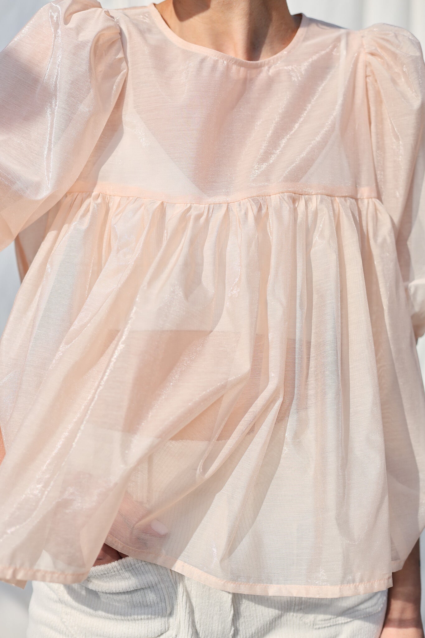 Puffy Sleeve Organza Blouse