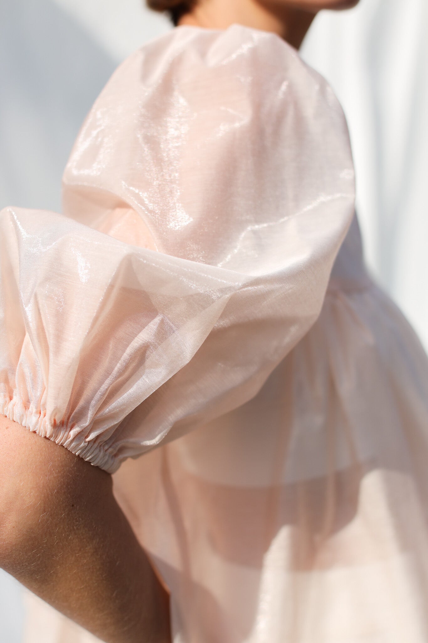Puffy Sleeve Organza Blouse