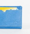 Essential Wallet