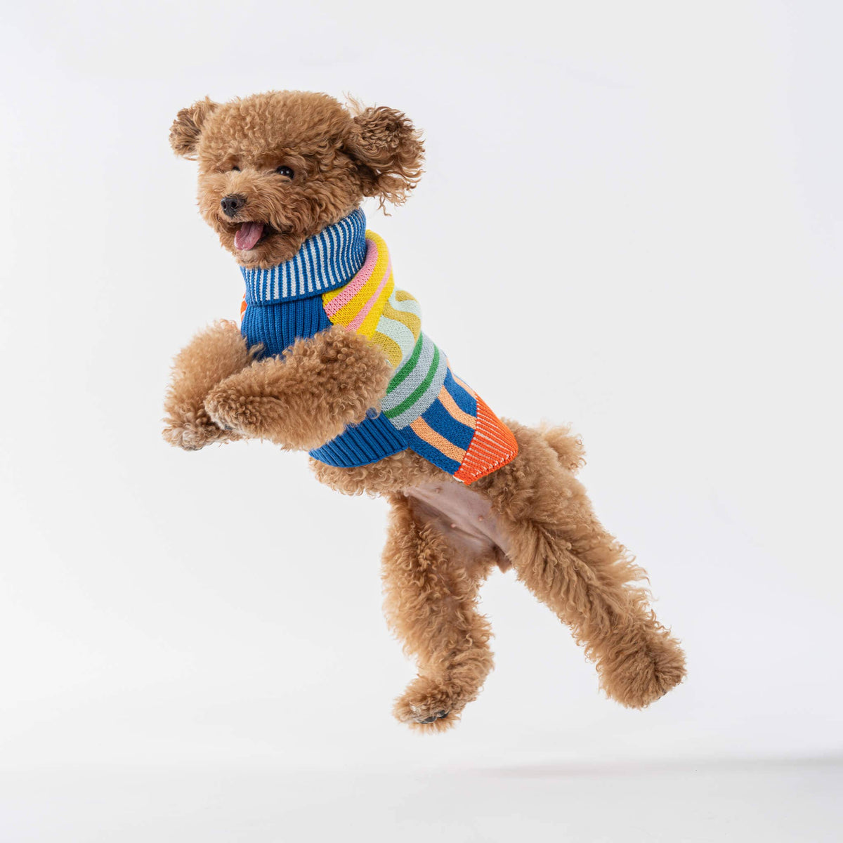 Patchwork Stripe Dog Sweater: Rainbow