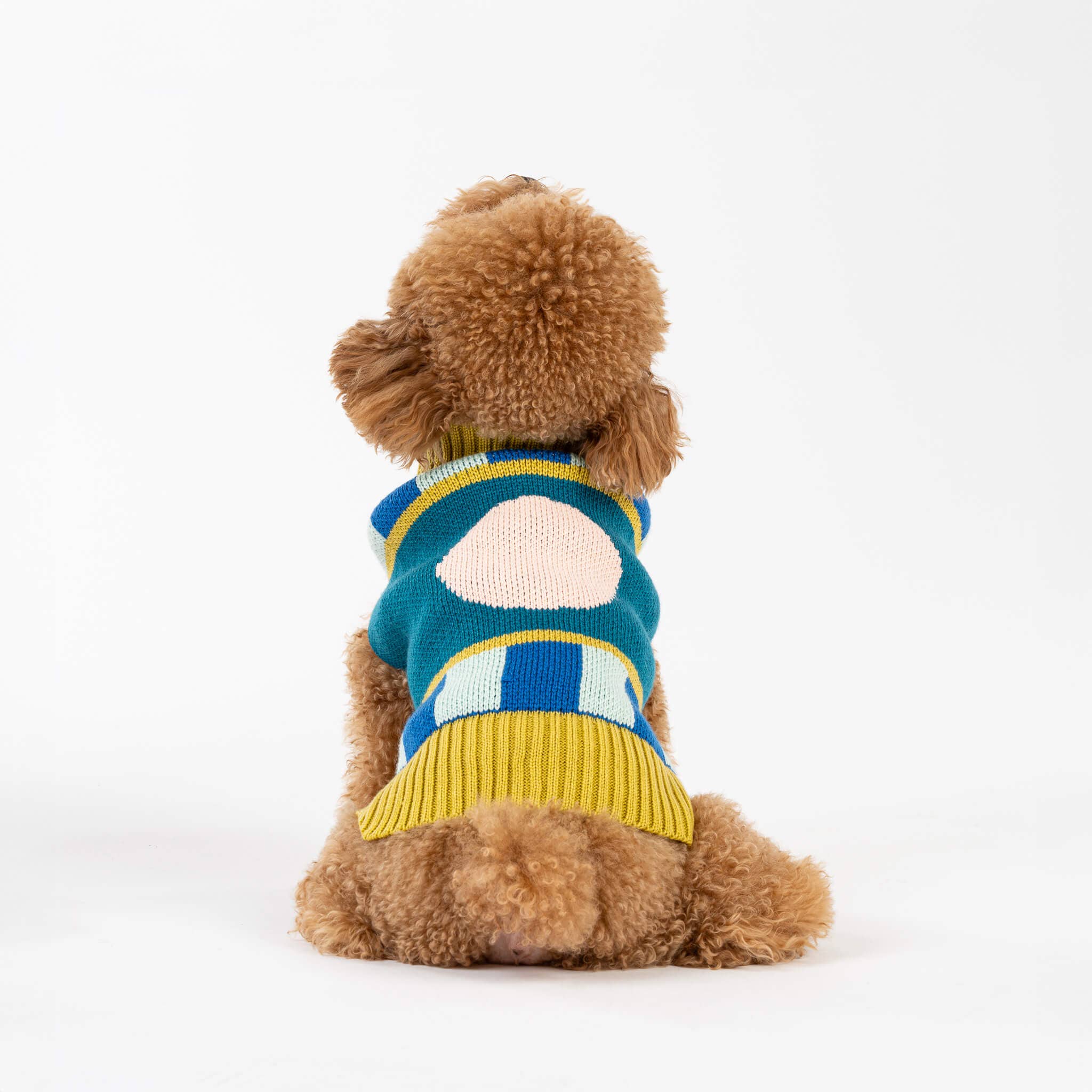 Stripe Dot Dog Sweater