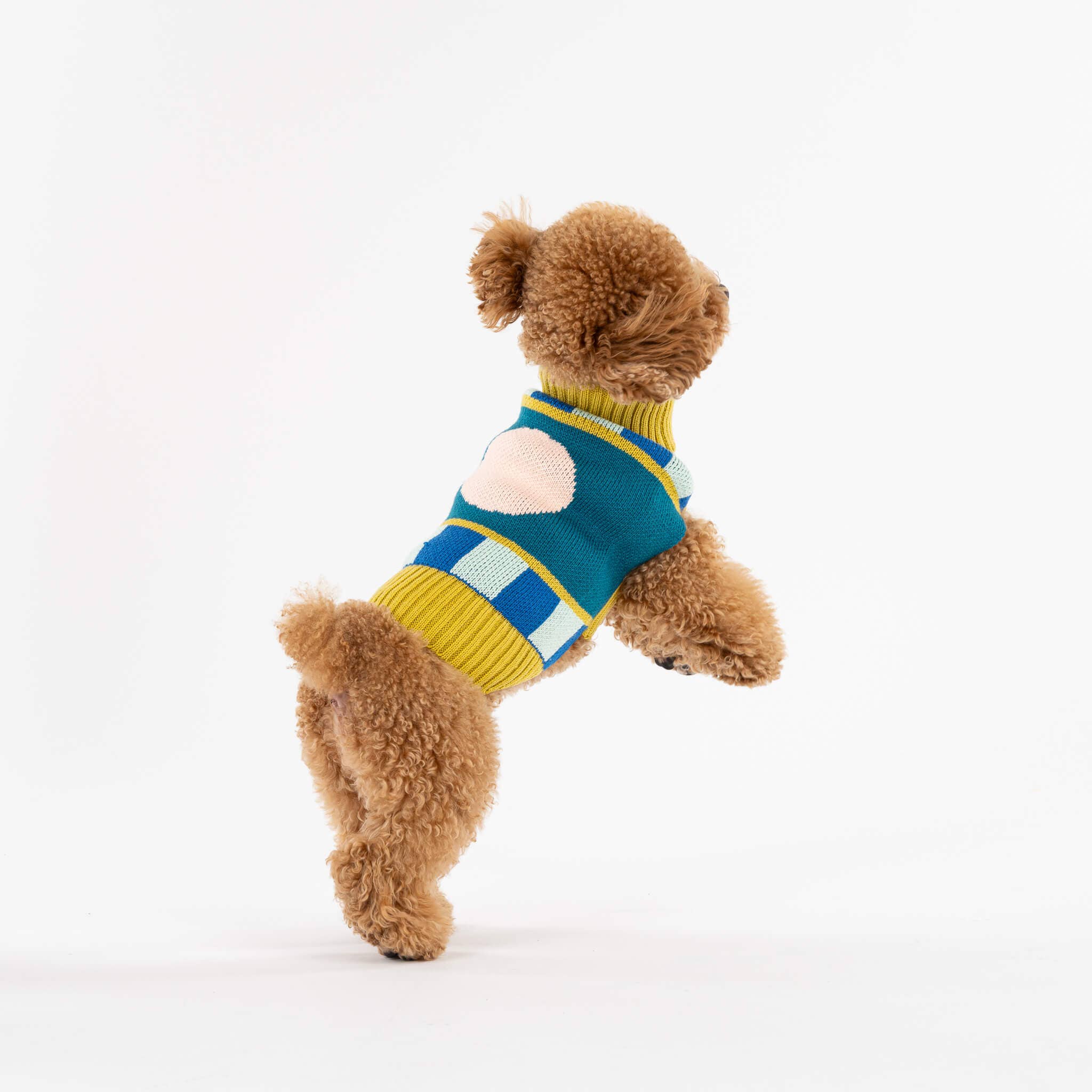 Stripe Dot Dog Sweater