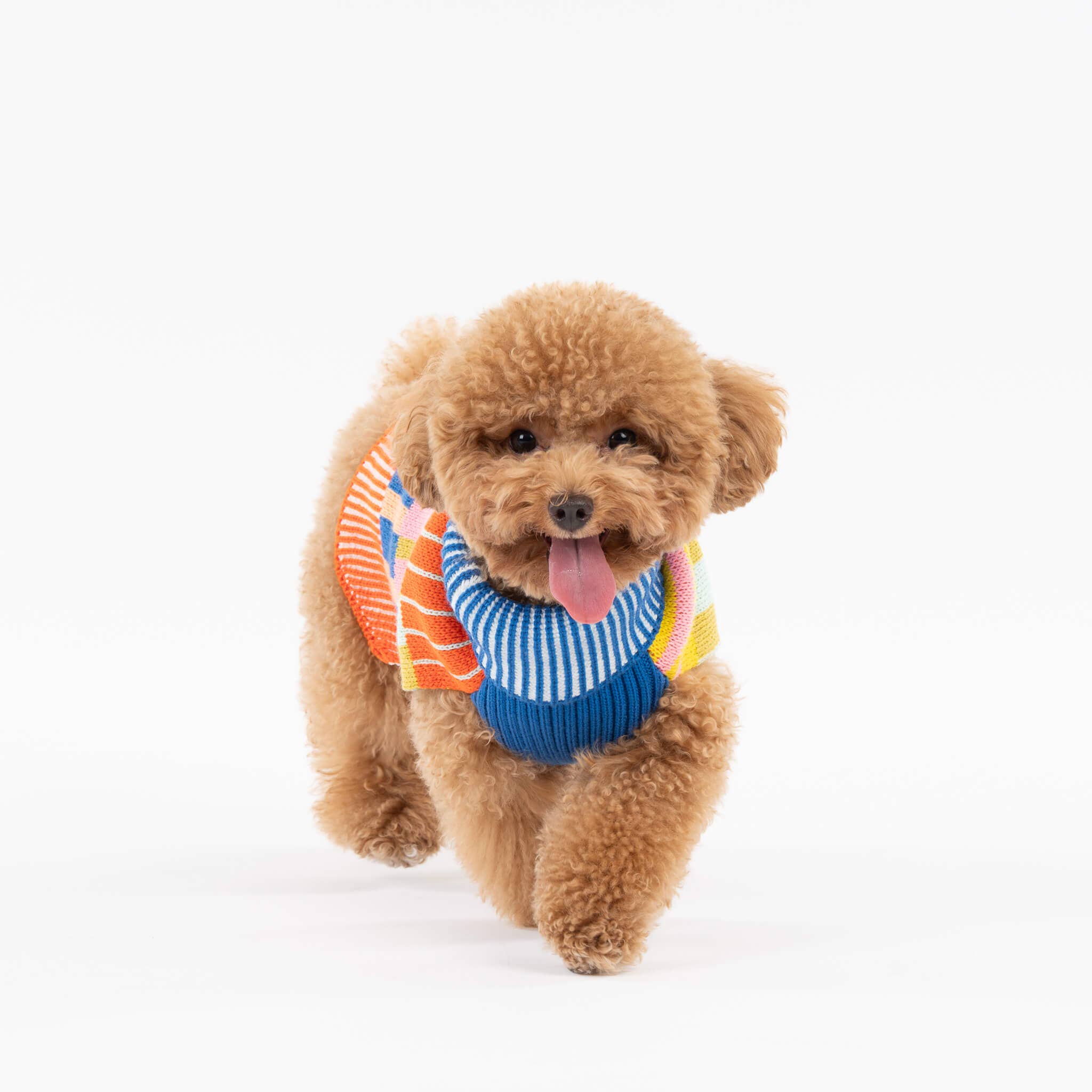 Patchwork Stripe Dog Sweater