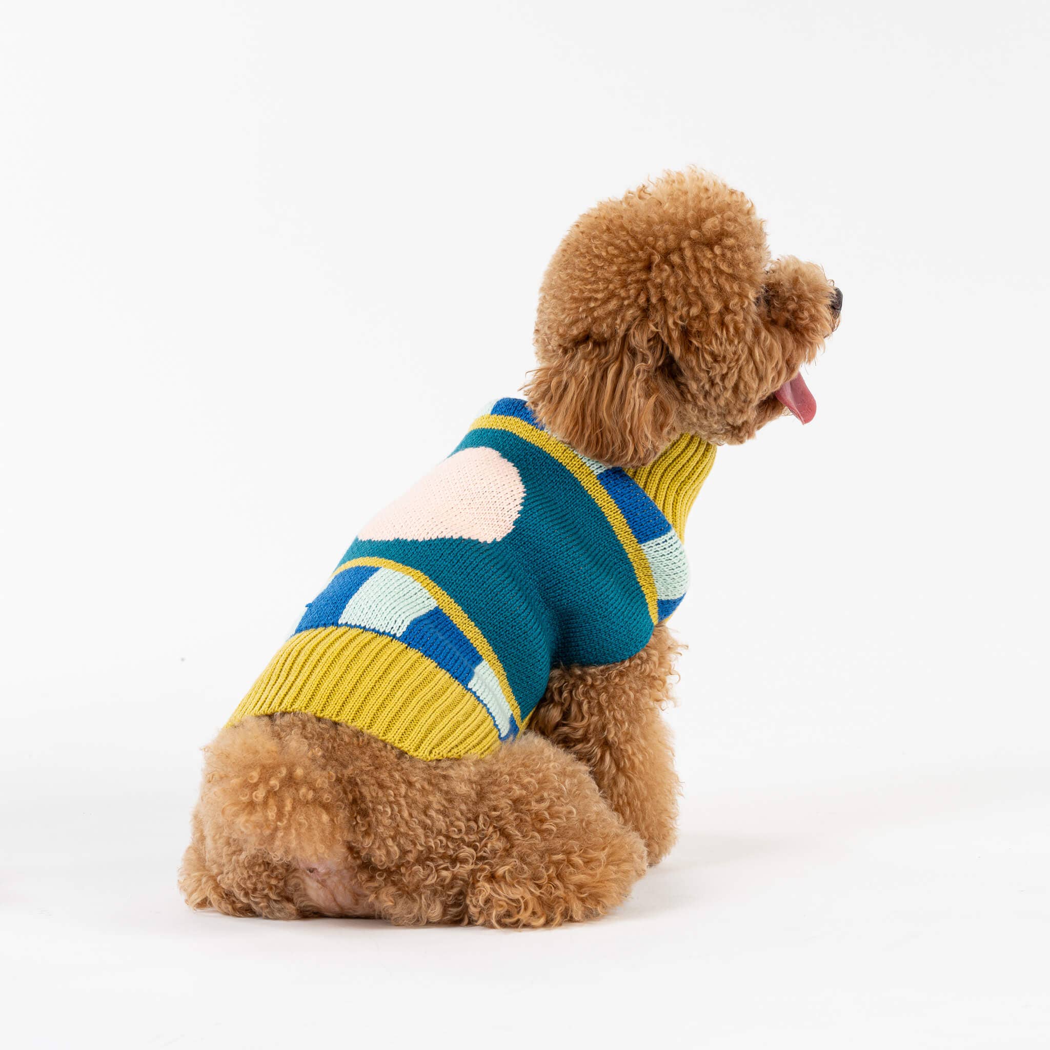 Stripe Dot Dog Sweater