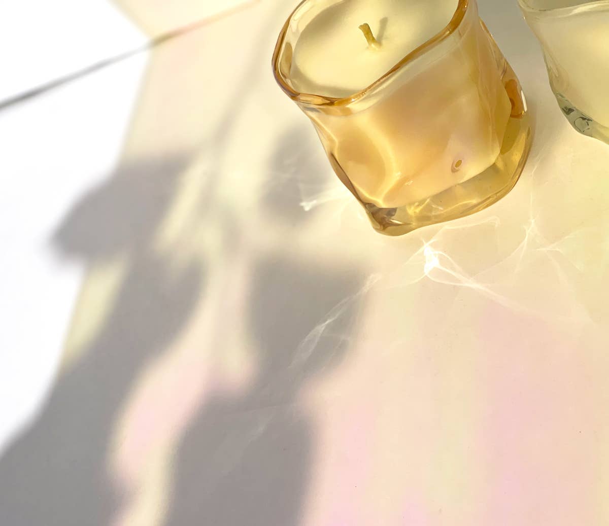 Gingerwood + Palo Santo Candle