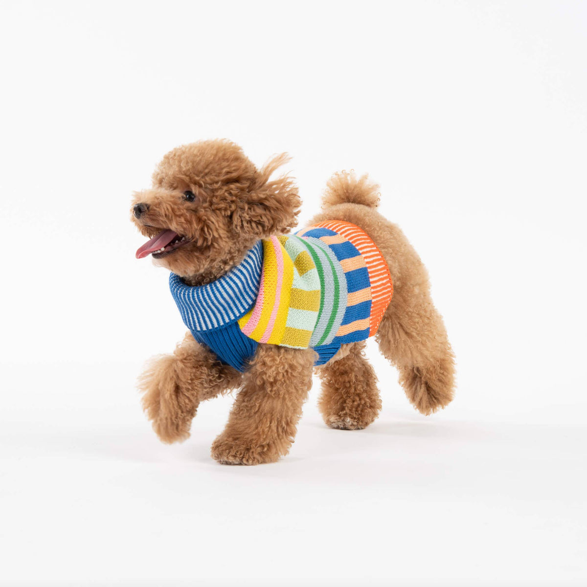 Patchwork Stripe Dog Sweater: Rainbow