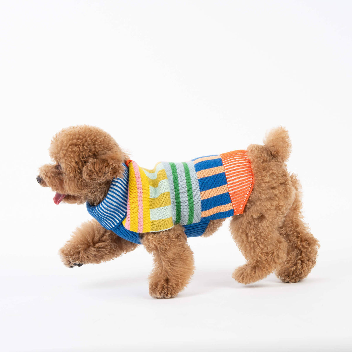 Patchwork Stripe Dog Sweater: Rainbow
