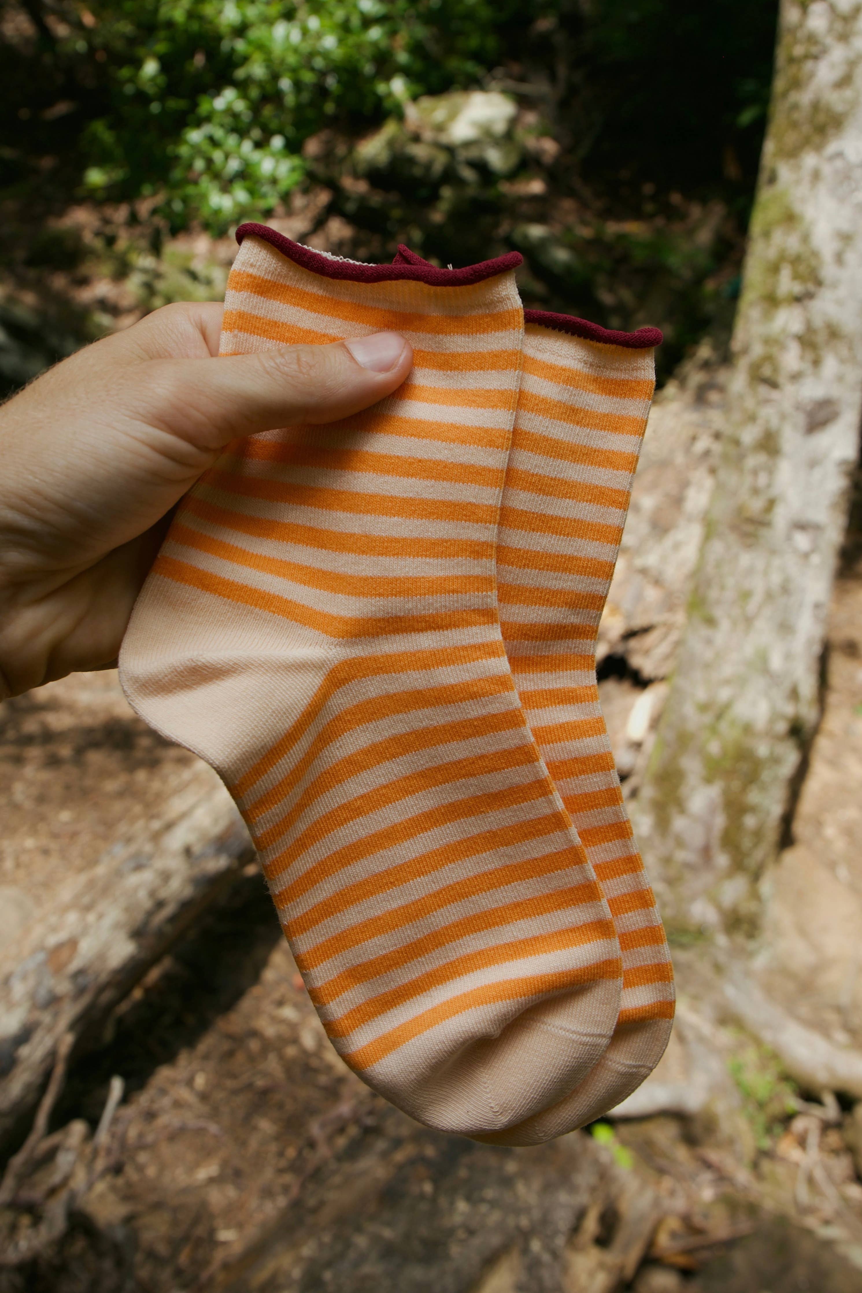 Stripe Roll Sock