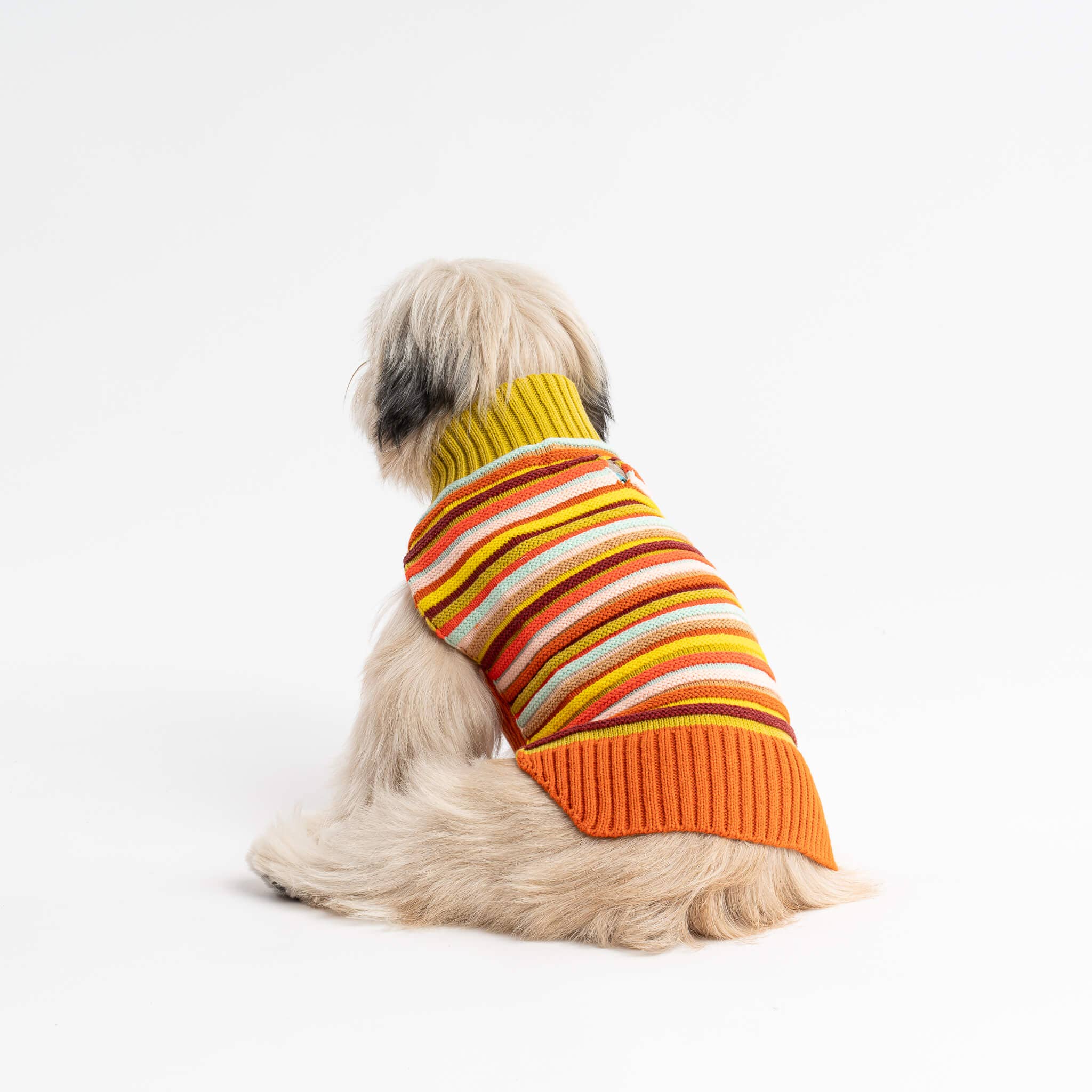 Circus Stripe Dog Sweater