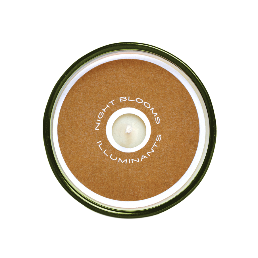Sespe Pinecone 8 oz. Candle: 8 oz