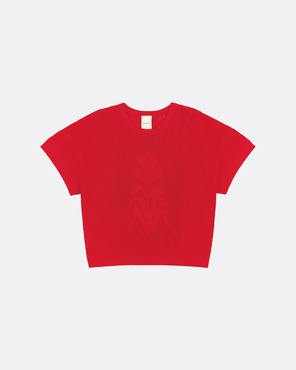 Ariel Top