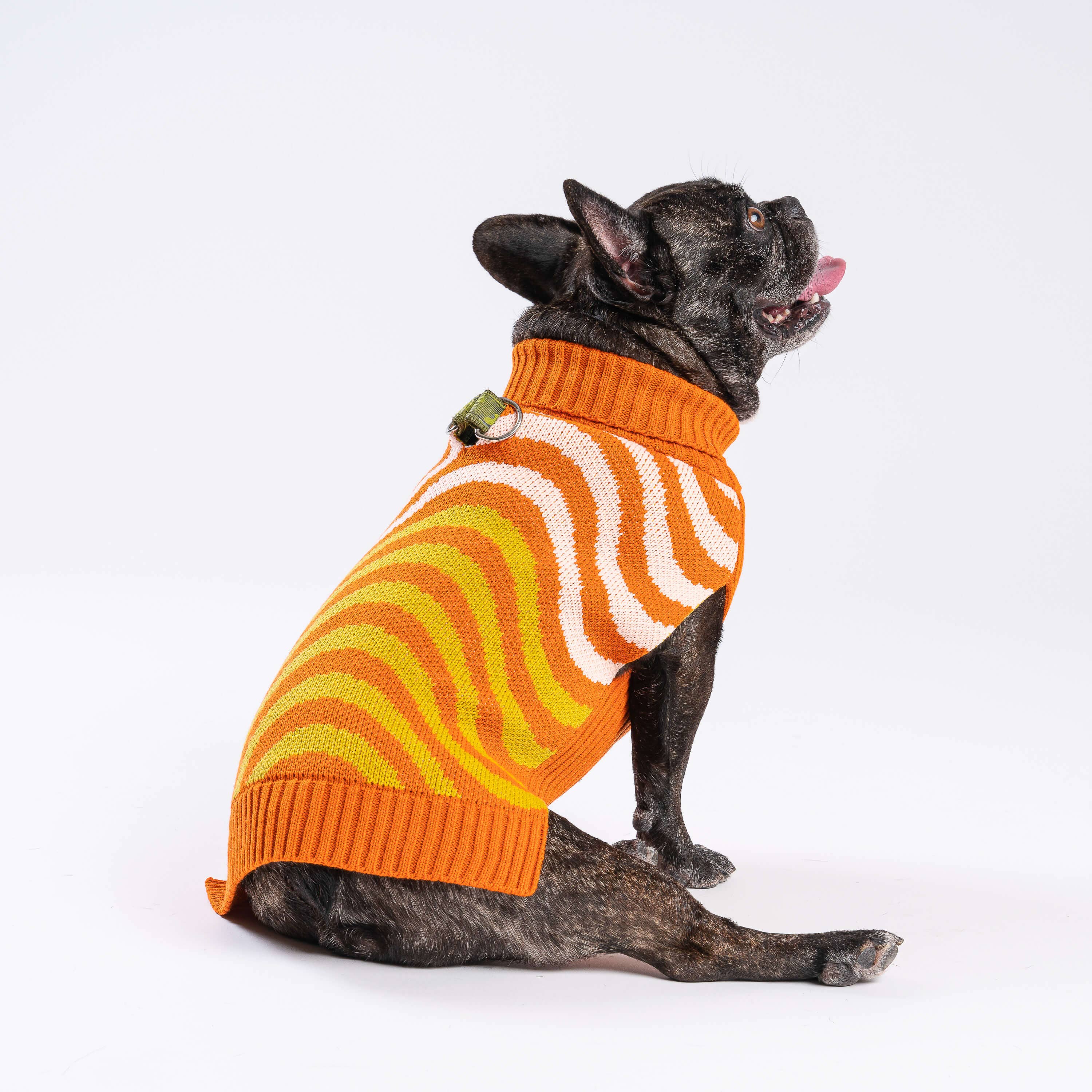 Sound Wave Dog Sweater: Golden Olive Flame