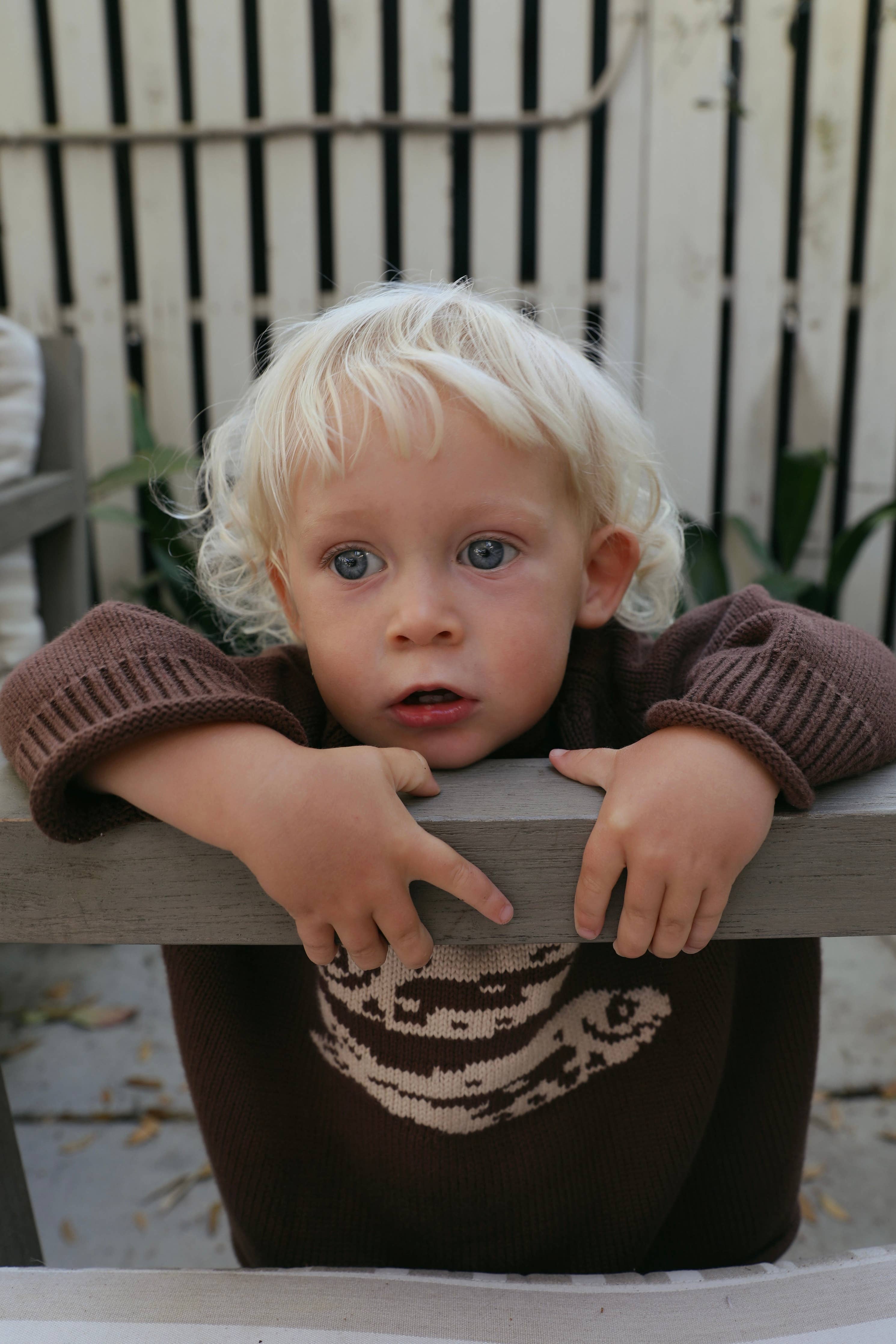 Toddler Fish Sweater