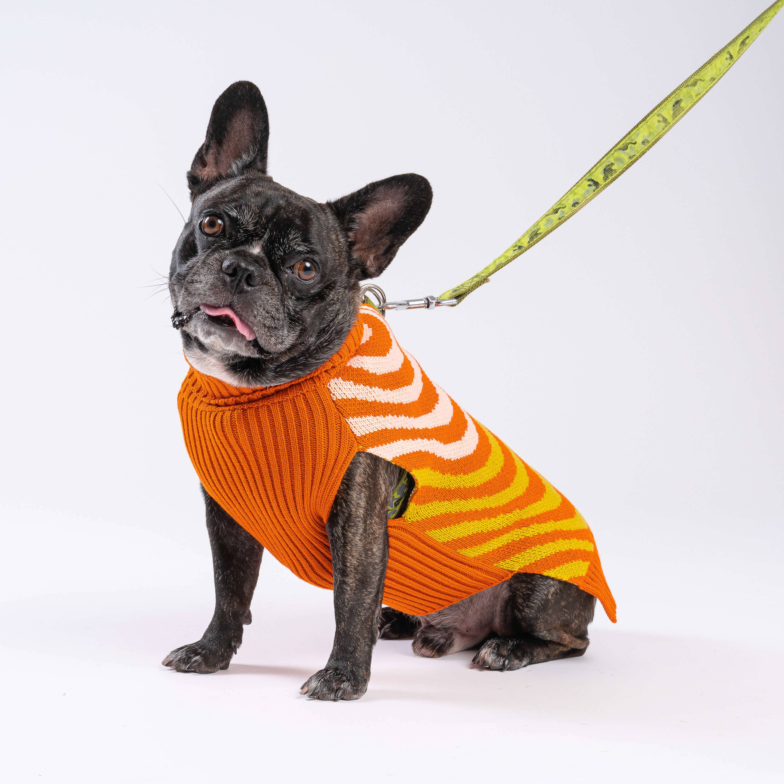Sound Wave Dog Sweater: Golden Olive Flame
