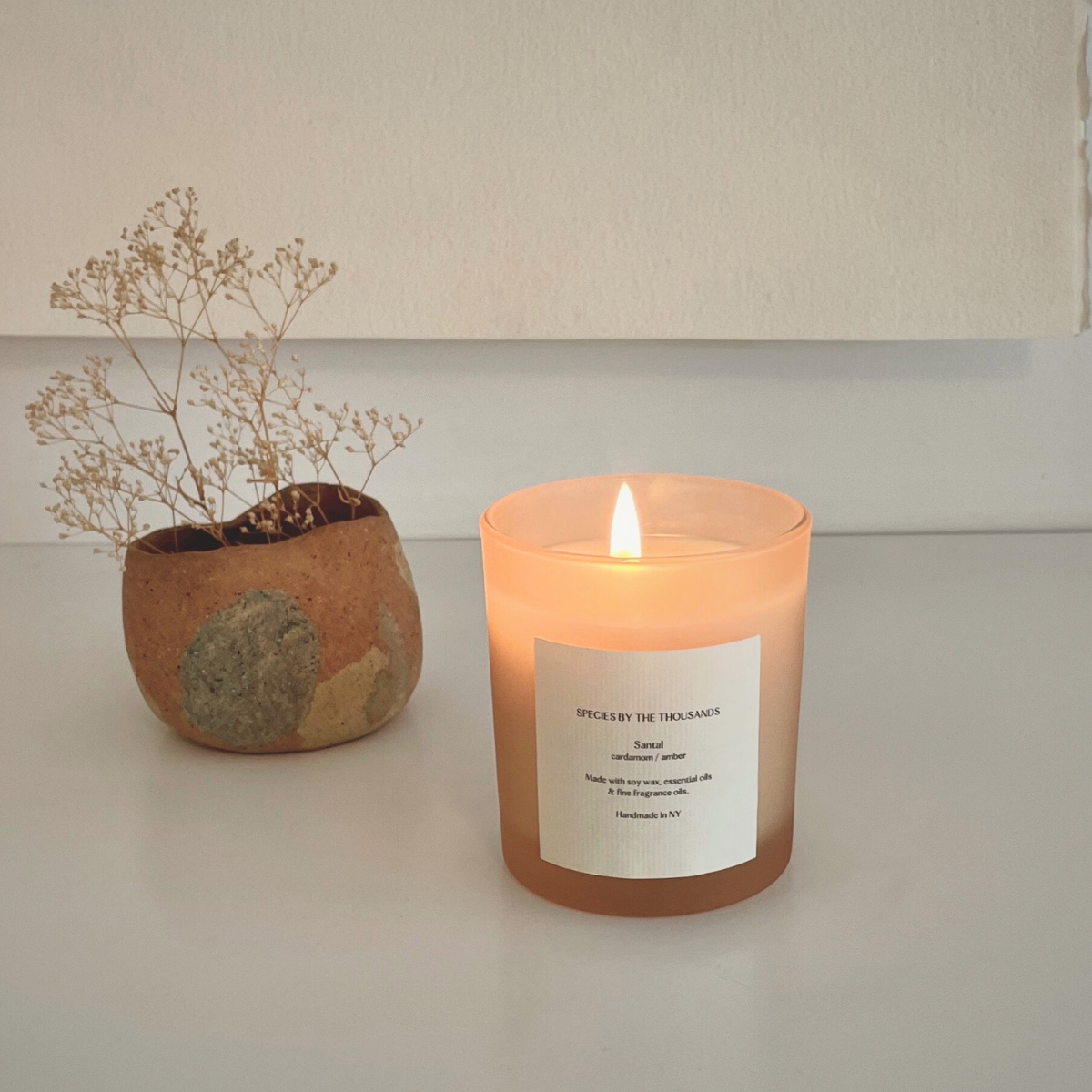 Santal Scented Soy Candle
